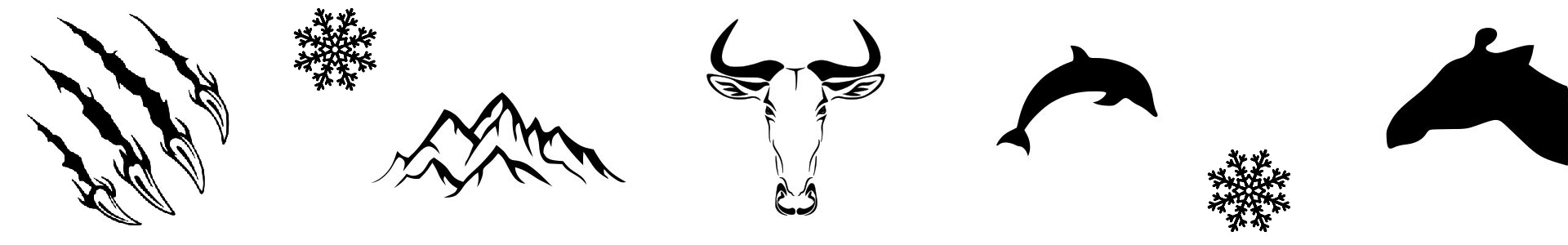 Slider Image 3